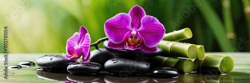 Zen Orchid and Bamboo with Black Stones