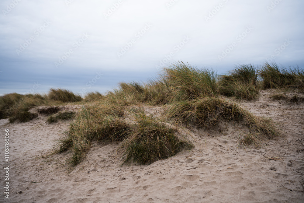 Naturstrand in Schillig, Wangerland, November 2024