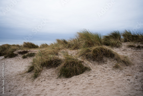 Obraz na płótnie Naturstrand in Schillig, Wangerland, November 2024 w salonie