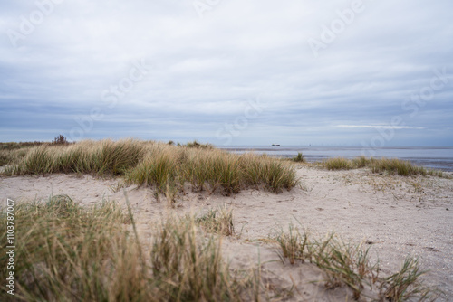 Naturstrand in Schillig, Wangerland, November 2024 photo