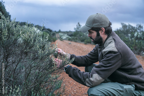 Ecologist Botanist working on the National park Reserve controlling invasive plant species 