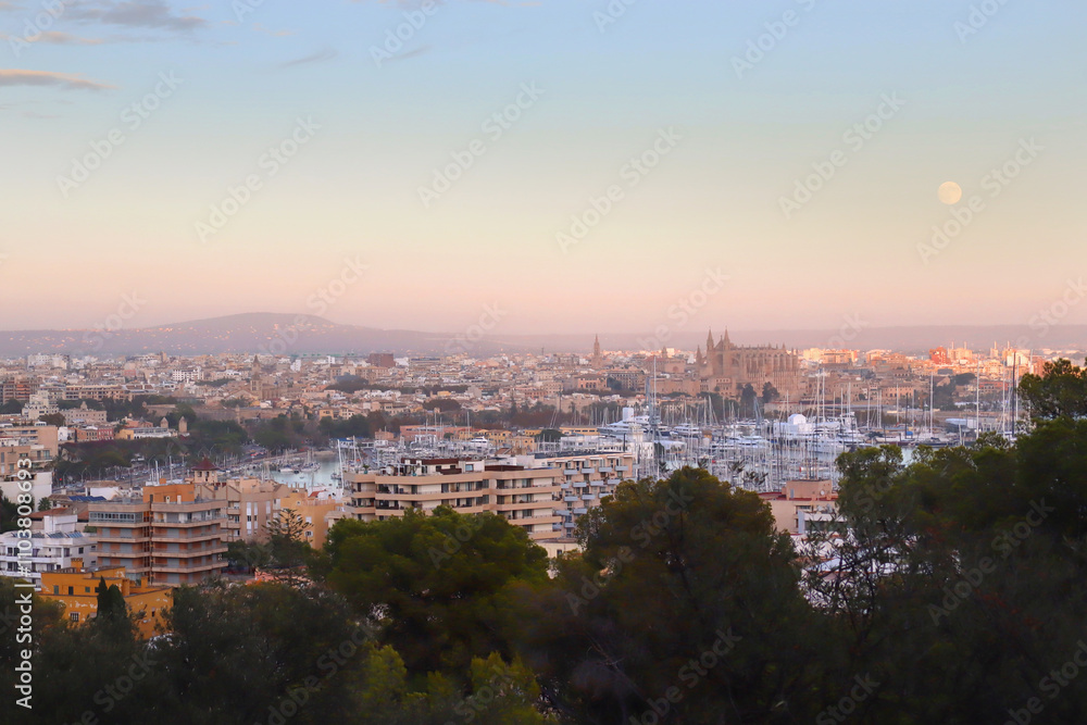 Panorama of Palma, Mallorca, Spain
Panorama of Palma, Mallorca, Spain