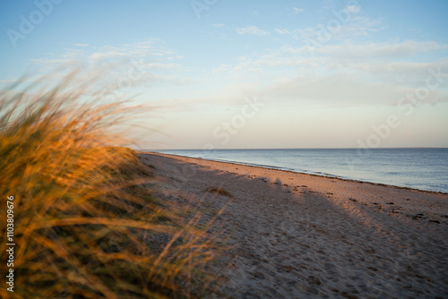 Obraz na płótnie Naturstrand in Schillig, Wangerland, November 2024 w salonie