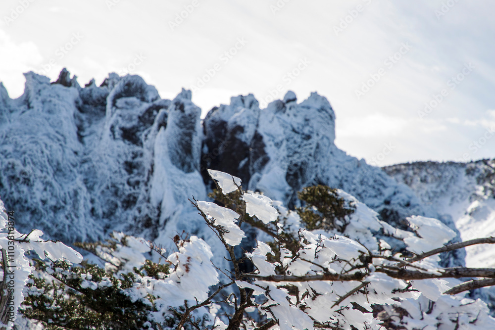 custom made wallpaper toronto digital한라산