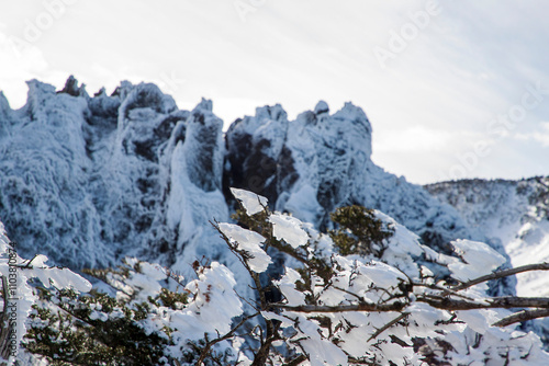 Wallpaper Mural 한라산 Torontodigital.ca