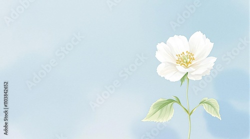 Beautiful watercolor illustration of white musk mallow with green leaves, illustration, white musk mallow, leaves, watercolor illustration