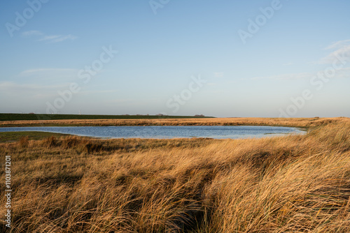 Obraz na płótnie Naturstrand in Schillig, Wangerland, November 2024 w salonie