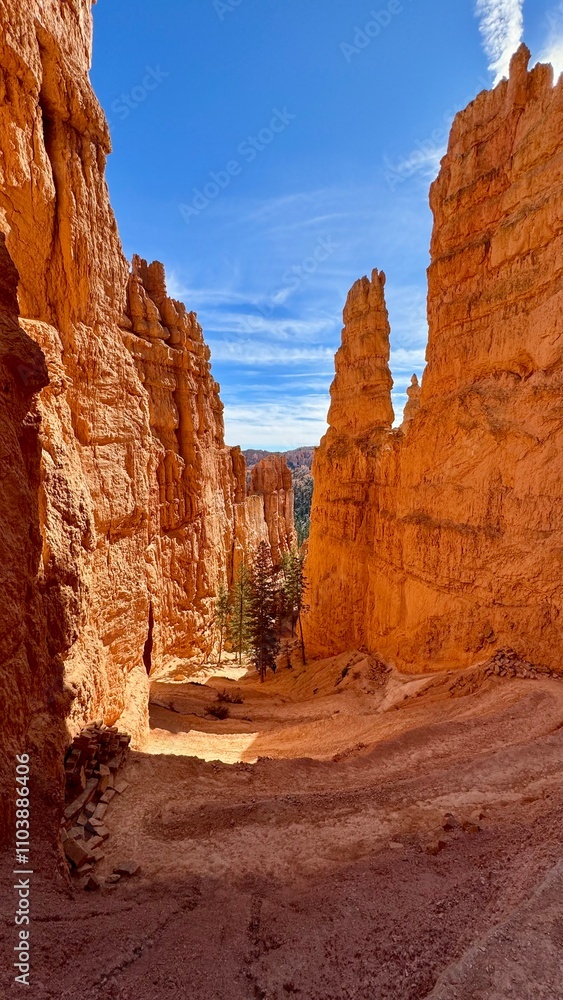 Fototapeta premium Bryce Canyon National Park