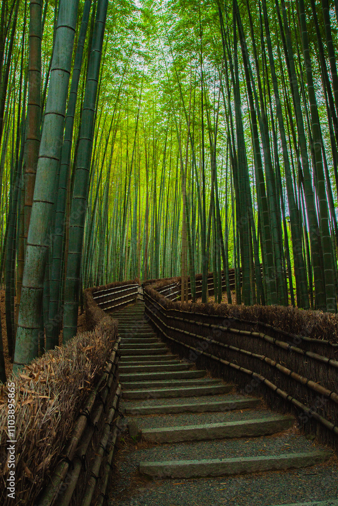 Japan Kyoto Bamboo Forest Adashino Nenbutsu-ji Temple Japan Kyoto Bamboo Forest Adashino Nenbutsu-ji Temple