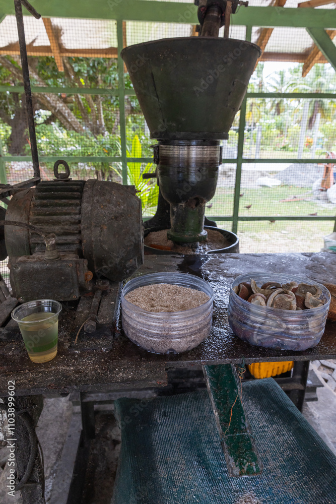 Mechanized device for production cold pressed coconut oil