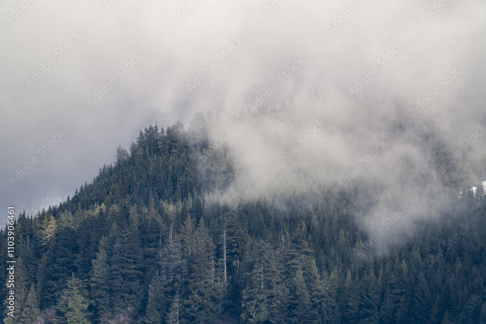 Fototapeta premium Snow covered mountains in Squamish, British Columbia, Canada. Landscape background