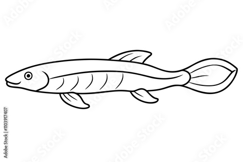 Detailed Bichir Line Art Illustration. photo