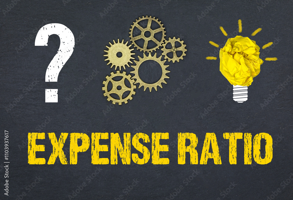 Obraz premium Expense Ratio