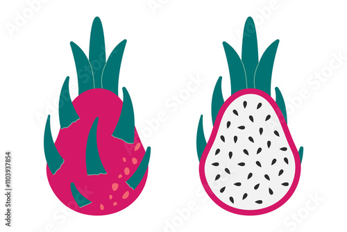 Pitaya fruit. Tropical exotic summer dragonfruit, organic vegetarian fresh dragon fruit. Vector illustration isolated on white background
