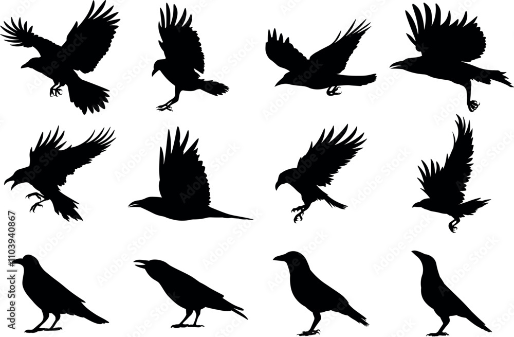 Obraz premium Crow bird silhouettes vector illustration set