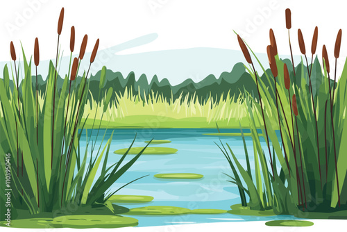 Swamp pond landscape with reed and cattail. Overgrown pond shore. Vector