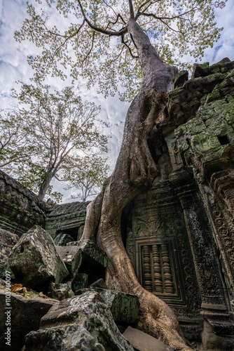 The remarkable symbiosis between nature and ancient architecture at the Ta Prohm Temple in Angkor Thom, Cambodia.