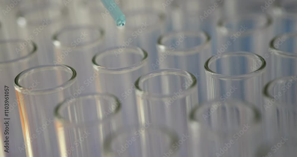 Competent laboratory technician adds reagent to test tubes. Lab assistant uses pipette to add exact amount of reagent needed for experiment Competent laboratory technician adds reagent to test tubes. Lab assistant uses pipette to add exact amount of reagent needed for experiment