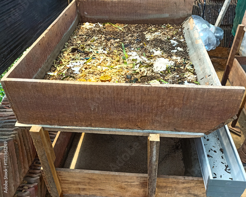 magot cultivation resulting from processing organic waste