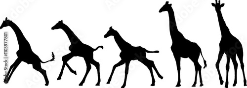 giraffe vector silhouette
