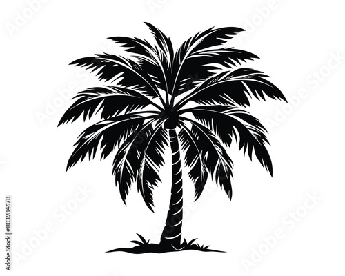 plam tree black and white Silhouettes