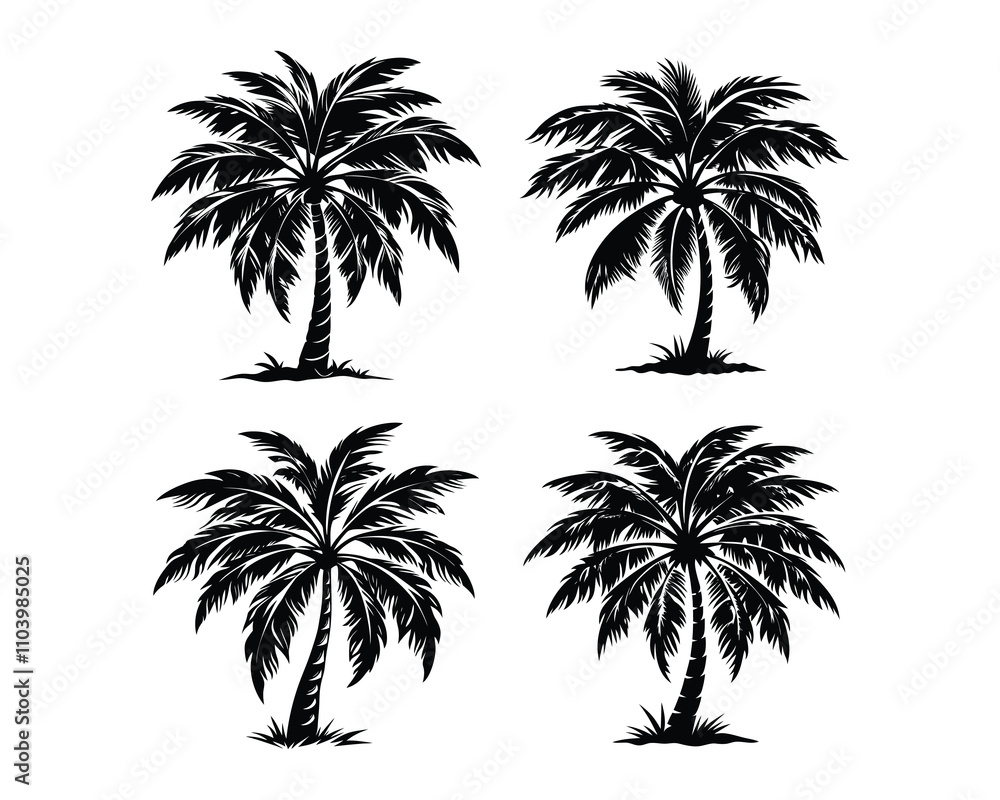 Fototapeta premium plam tree black and white Silhouettes.