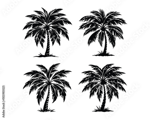plam tree black and white Silhouettes.