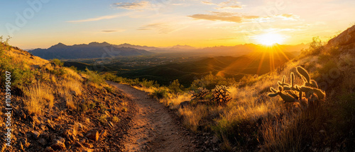 scenic mountain trail at sunrise with vibrant colors and cacti