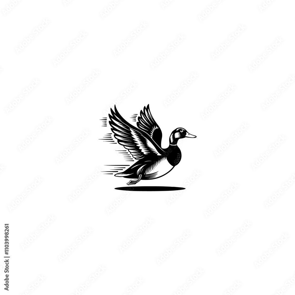 Naklejka premium Minimal flying duck vector silhouette, black color silhouette, loon duck bird flying silhouette vector style art