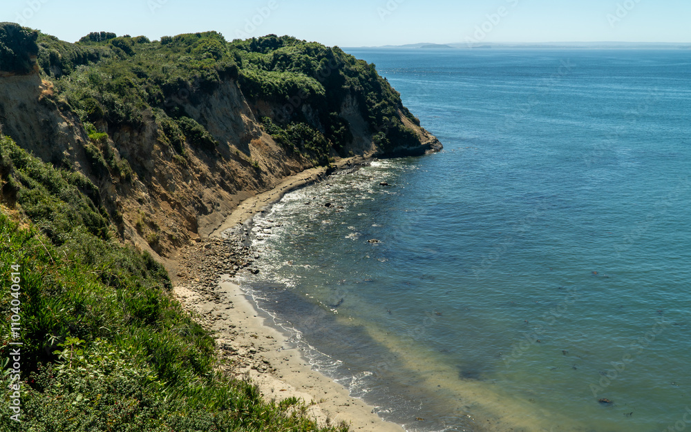 Stunning aerial view of Balchamo Beach in Carelmapu, showcasing its natural beauty with golden sands, vibrant greenery, and coastal charm in Southern Chile.