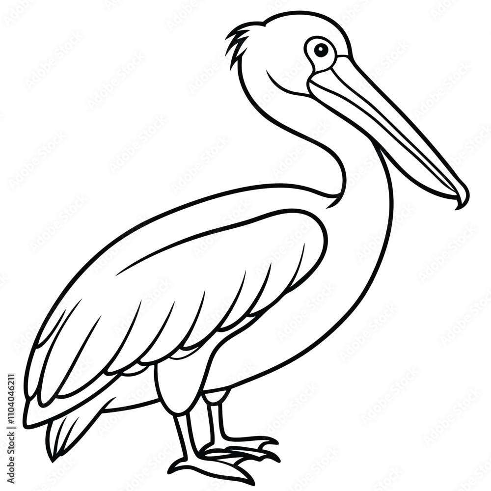 Fototapeta premium pelican coloring page, outline, silhouette vector