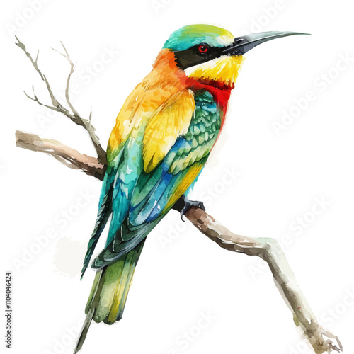 A watercolor vector of Bee-eater, isolated on a white background. Bee-eater vector.