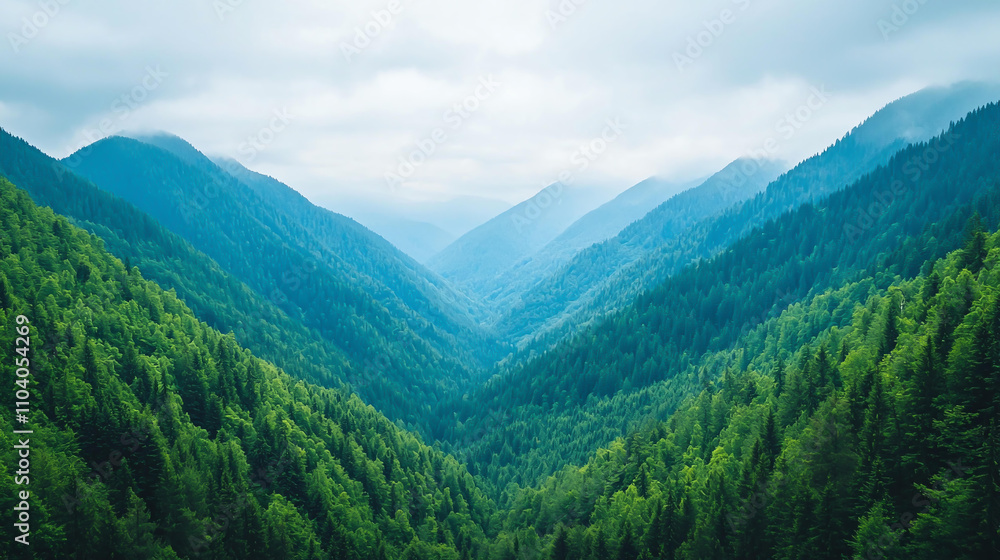 Obraz premium Landscape background breathtaking mountain valley with layered peaks and lush green forests creates serene and tranquil atmosphere. misty backdrop enhances natural beauty of this landscape
