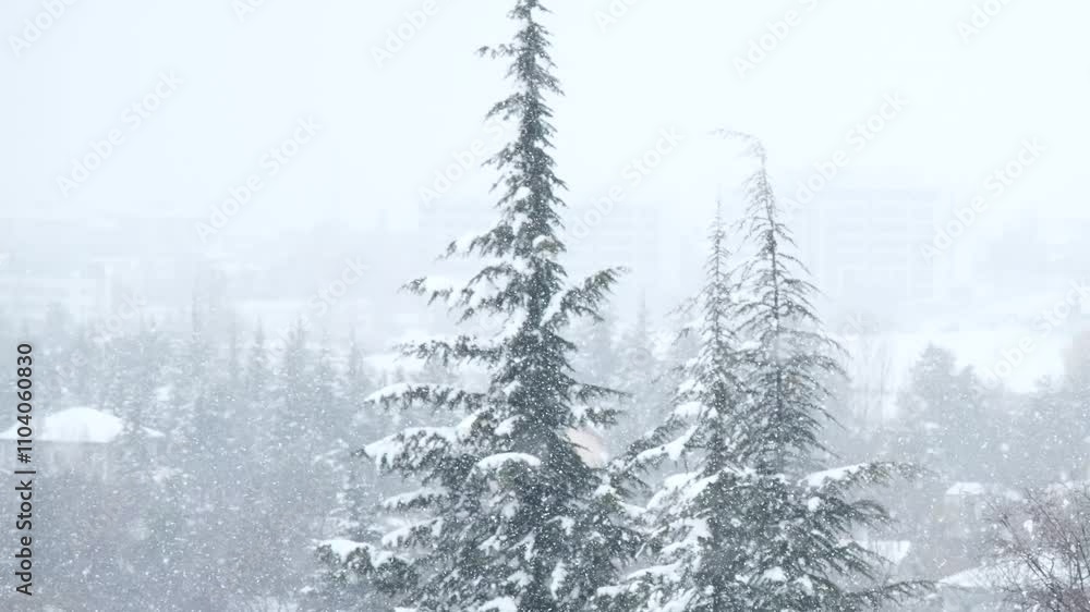 New Year's Eve, snowfall in broad daylight. Foggy weather and snowflakes. New Year's Eve concept. 4K Resolution. Christmas scene. Beautiful winter landscape with falling snow. New Year's Eve, snowfall in broad daylight. Foggy weather and snowflakes. New Year's Eve concept. 4K Resolution. Christmas scene. Beautiful winter landscape with falling snow.