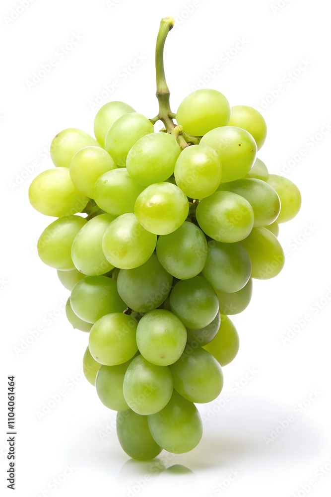 A single green grape on a white background. A single green grape on a white background.