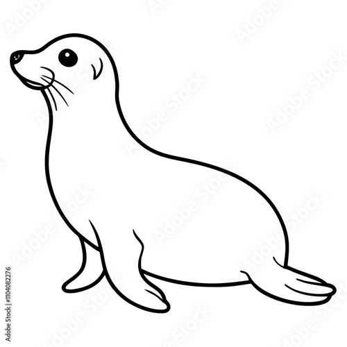 seal on white