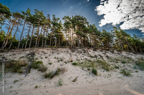 Sandy Dunes in Kurland photo