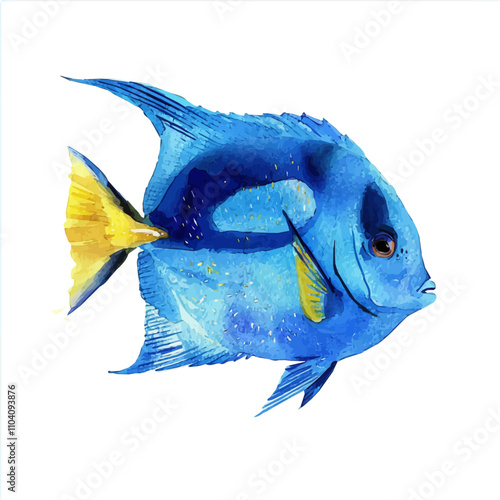 A watercolor of Blue Tang Fish, isolated on a white background. Blue Tang Fish vector.