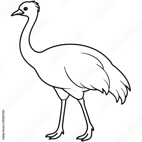 emu on a white background