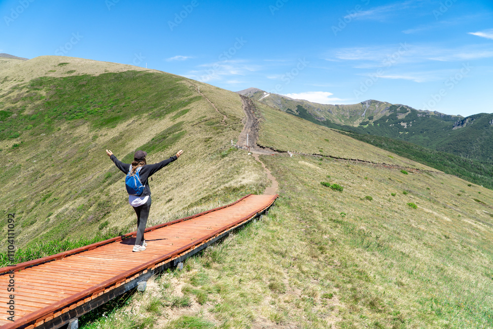 A woman walks along a mountain trail on a sunny summer day, enjoying a trekking adventure surrounded by nature.
