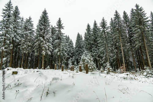 Eine winterliche Wanderung zum Bahnhof Rennsteig im verschneiten Thüringer Wald - Schmiedefeld - Thüringen - Deutschland photo