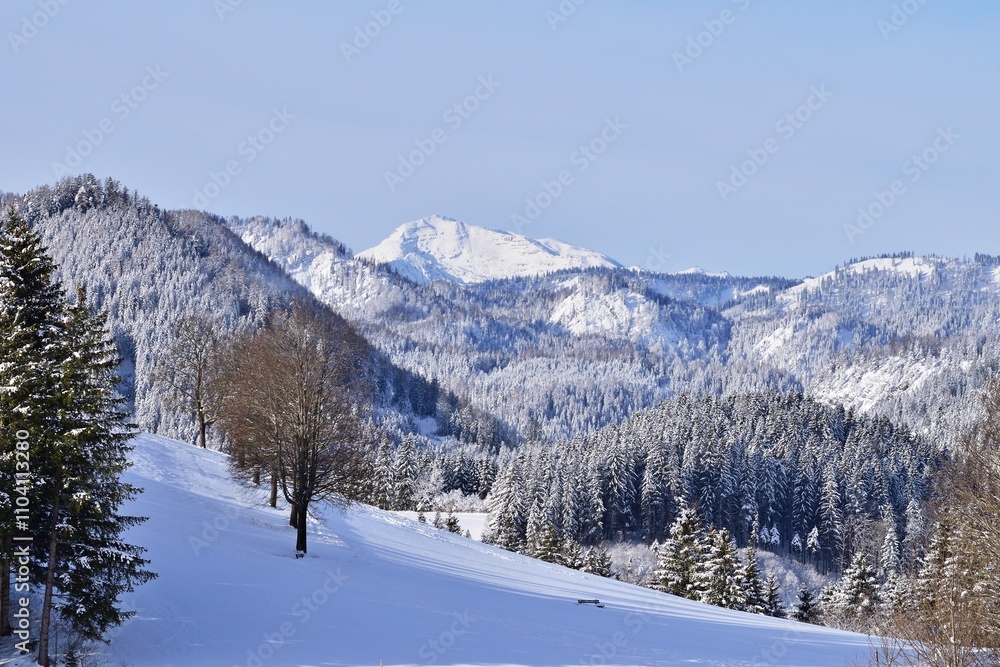 Obraz premium Winterwanderung Nähe Mariazell mit Blick az Ötscher
