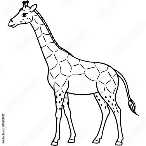 giraffe vector illustration