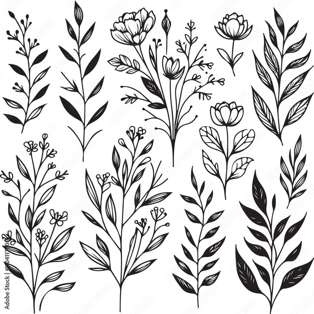 Fototapeta premium Silhouette Flower collection