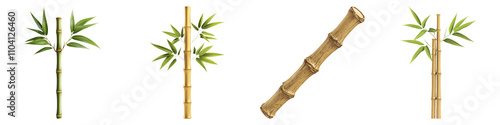 symbols of Chinese New Year concept. Bamboo plants in various orientations against a black background. on Transparent photo