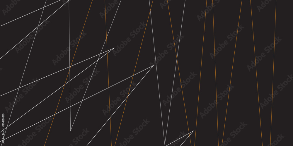 Abstract black and white geometric random chaotic lines with many squares and triangles shape. Metal grid isolated on the white background. Banner with geometric shapes, lines, stripes and triangles. Abstract black and white geometric random chaotic lines with many squares and triangles shape. Metal grid isolated on the white background. Banner with geometric shapes, lines, stripes and triangles.