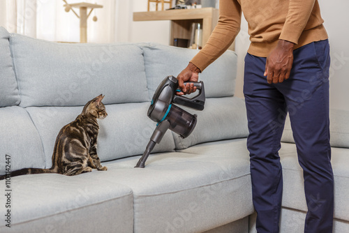 Vacuuming cat hair from the couch to reduce allergy symptoms in a cozy living room