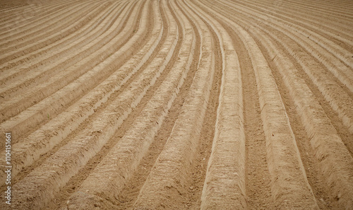 Aerial view of curved plowed field lines
