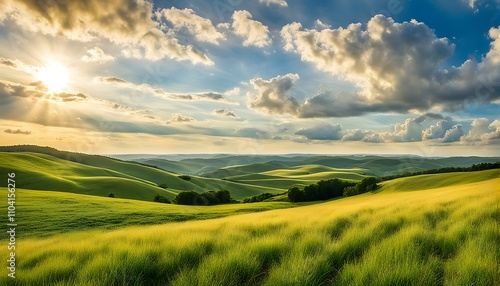 green field and blue sky