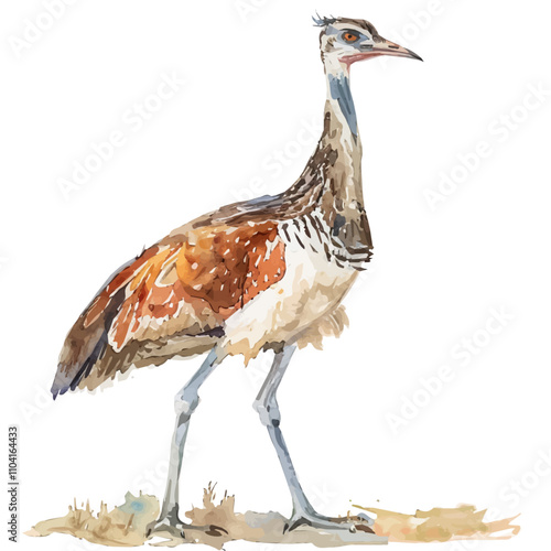 A watercolor painting of Bustard, isolated on a white background. Bustard vector.